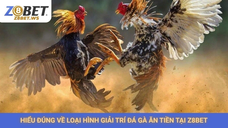 Đá gà ăn tiền Z8bet | Nhà cái uy tín, trả thưởng sòng phẳng 1 Hiểu đúng về loại hình giải trí đá gà ăn tiền tại Z8bet