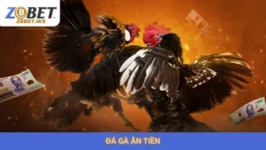 Đá Gà Ăn Tiền Z8bet