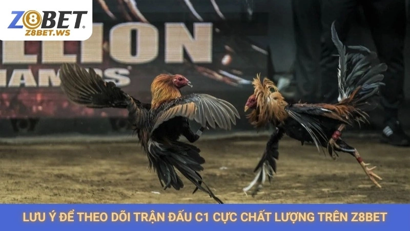 Lưu ý để theo dõi trận đấu C1 cực chất lượng trên Z8bet