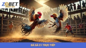 Đá Gà C1 Trực Tiếp Z8bet