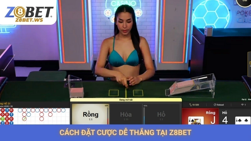 Chơi rồng hổ Z8bet | Cách đặt cược luôn thắng từ cao thủ 3 Cách đặt cược dễ thắng tại Z8bet