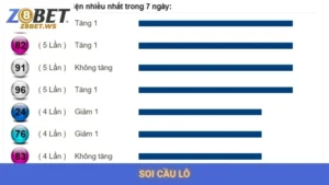 Soi Cầu Lô