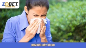 xem bói hắt xì hơi